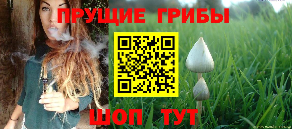 Галлюциногенные грибы Psilocybe  Галлюциногенные грибы прущие грибы  цены   Вход с VPN  Обнинск 
